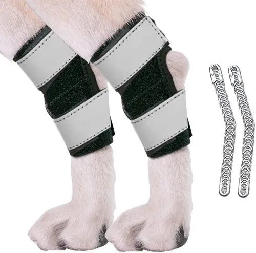 AGON Par de soporte trasero para perro con cuerdas de metal y envolturas reflectantes, correas de compresión para la pierna trasera canina protege