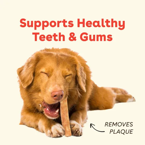 Miniatura 3 de Masticables de queso de yak Pupford para perros y cachorros en dentición, naturales, golosinas dentales del Himalaya de larga duración