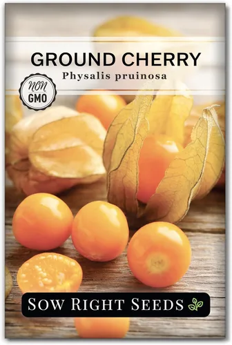 Sow Right Seeds - Semillas de cerezas de tierra para plantar - Paquete de reliquia sin OMG con instrucciones para plantar un jardín de verduras