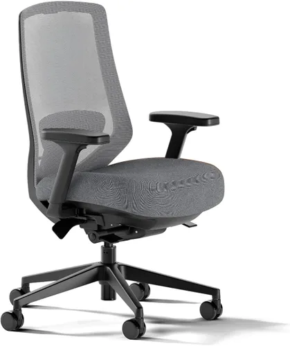 Miniatura 11 de Branch Silla ergonómica Pro - Silla de oficina de malla con 14 puntos de ajuste - Altura, profundidad e inclinación ajustable - reposabrazos 5D