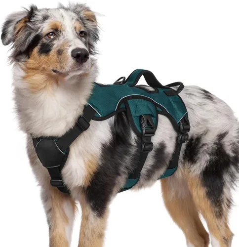 Miniatura 36 de rabbitgoo - Arnés para perro a prueba de fugas, arnés para mascotas acolchado suave de cuerpo completo, chaleco reflectante ajustable sin tirones