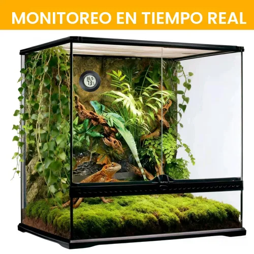 Miniatura 8 de JEDEW Paquete de 2 termómetros higrómetros, medidor digital de humedad para interiores y exteriores, monitor de humedad para reptiles