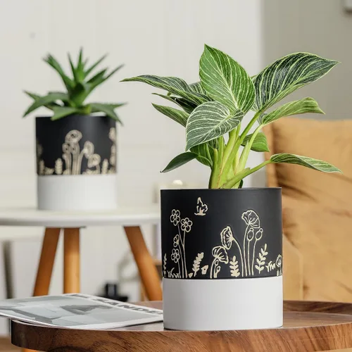 Miniatura 4 de Nihow Maceta de riego automático: maceta de cerámica de 6 pulgadas con orificio de drenaje y almacenamiento de agua para plantas de interior y Negro