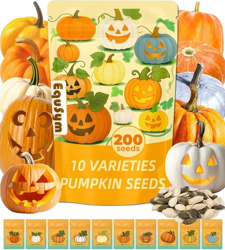 Más de 200 semillas de calabaza para plantar, 10 variedades Jack Be Little, Jack O Lantern, pastel de azúcar, jarrahdale azul, Baby Boo, ideal para