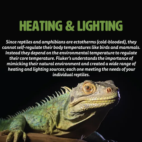 Miniatura 5 de Lámpara Fluker's Repta-Clamp, luz de abrazadera resistente para tanques y terrarios de reptiles, aprobada UL/CUL, excelente para el baño