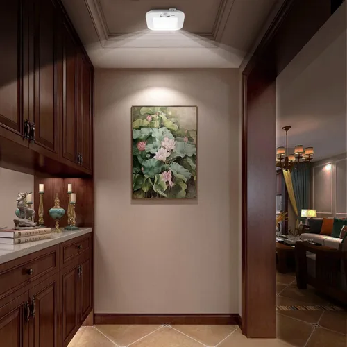 Miniatura 7 de Luz de Techo con Sensor de Movimiento a Batería, 180LM 6000K Luces de Armario a Batería con Sensor de Movimiento, Luz de Techo Inalámbrica de 48LED