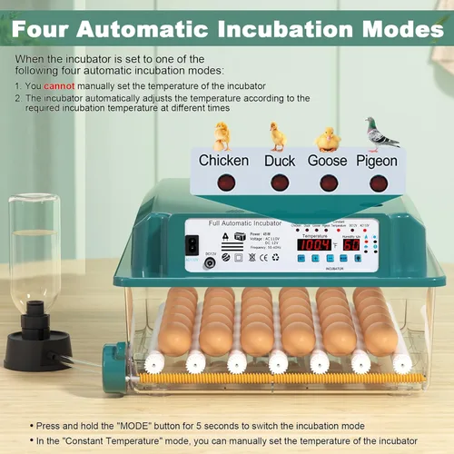 Miniatura 2 de CoInceptus 16 incubadoras de huevos para incubar huevos, incubadora de huevos con giro automático de huevos y control de temperatura, incubadoras