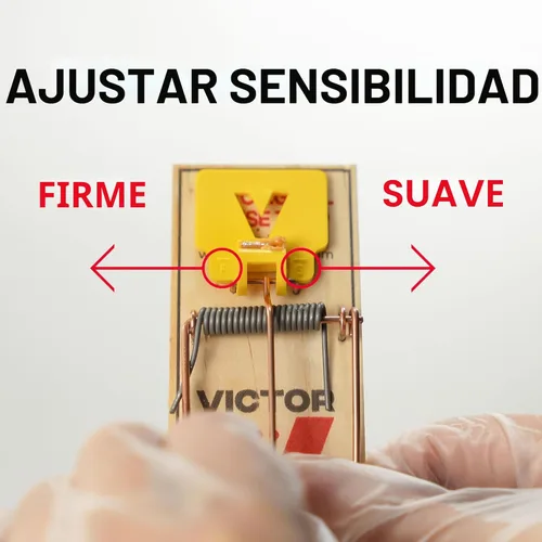 Miniatura 5 de Trampas para ratones Victor M035-12, pedal de plástico, madera FSC de origen sostenible, trampas para ratones de madera, paquete de 12
