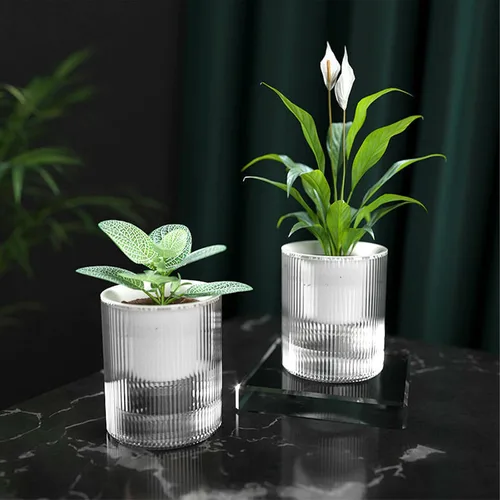 Miniatura 2 de Macetas de riego automático de 7 pulgadas, caja transparente de riego automático para plantas de interior, flores, exteriores, alféizar de ventana