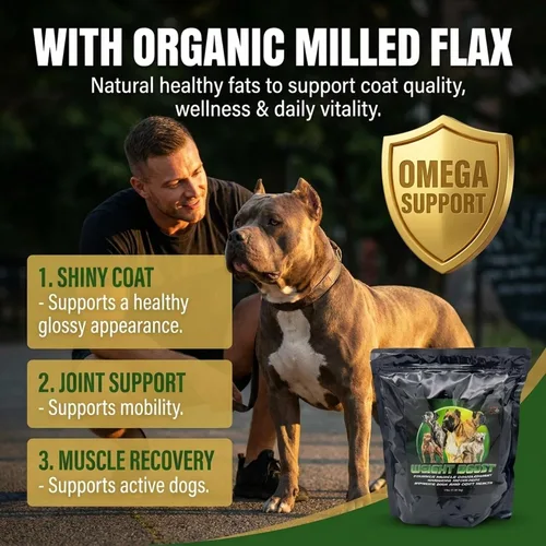 Miniatura 6 de CPN Weight Boost Suplemento para ganar músculo para perros con alto contenido de calorías – Proteína de suero de grado humano, grasas saludables