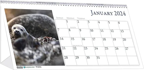 Miniatura 4 de House of Doolittle Calendario mensual de tienda de campaña de escritorio 2024, Bar Harbor, 7 x 4.25 pulgadas, enero a diciembre (HOD3679-24)