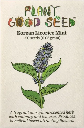 Miniatura 2 de Plant Good Seed Plant Good Seed Nettleleaf - Semillas de hisopo gigante, paquete de 250, semillas de reliquia para plantar flores, suministros