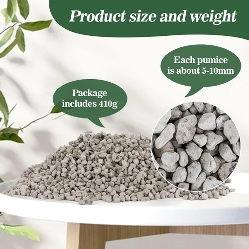 Miniatura 2 de Piedra Pómez Hortícola Sukh - Piedra Pómez para Plantas Suculentas Cactus Bonsái Orquídea Enmienda de Suelo 410g