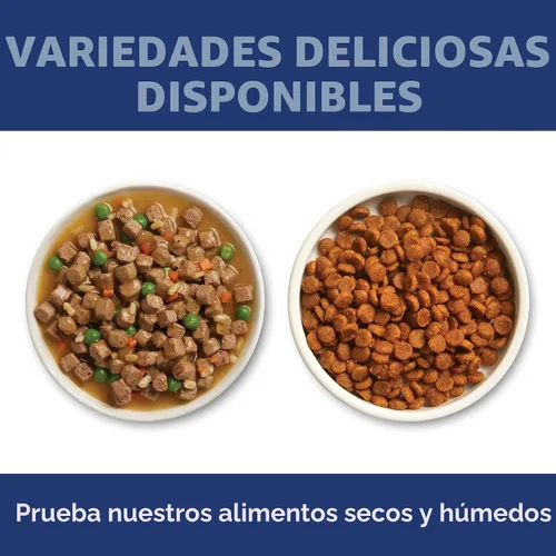 Miniatura 8 de Alimento seco para gatos adultos, receta de pollo para un cuidado óptimo de Hill's Science Diet