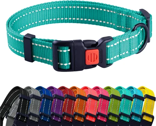CollarDirect Collar reflectante para perro o cachorro pequeño, mediano y grande con hebilla de liberación rápida, para niños y niñas, nailon Verde