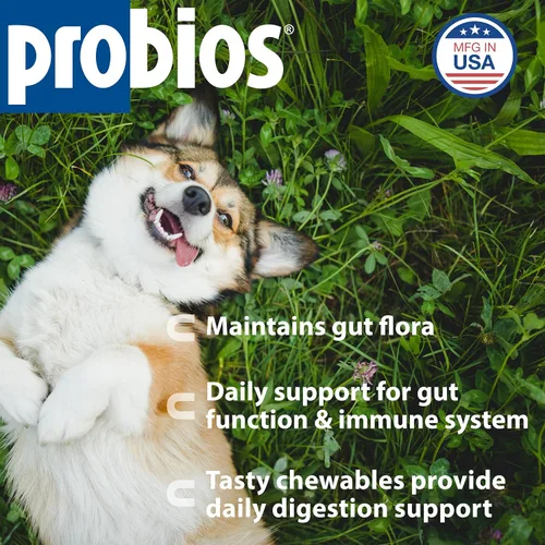 Miniatura 2 de Probios Masticables de apoyo digestivo para perros, suplemento probiótico diario para la salud intestinal, la digestión y el apoyo inmunológico, 1