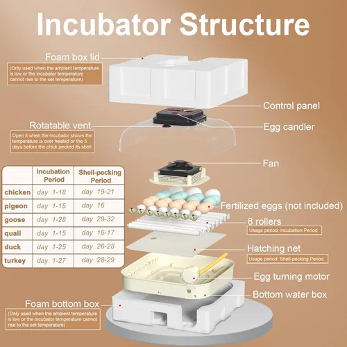 Miniatura 6 de CoInceptus 35 incubadoras de huevos para incubar huevos, incubadora de huevos con giro automático de huevos y control de humedad, incubadora