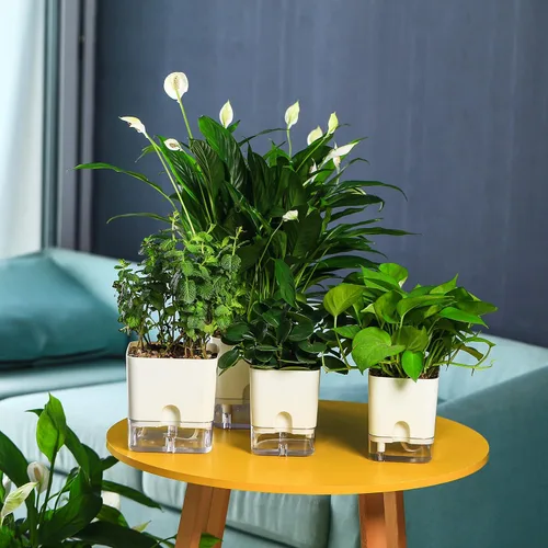 Miniatura 4 de Planterhoma Macetas de riego automático para plantas de interior de 4.3 pulgadas, 6 paquetes de macetas cuadradas de riego automático con orificio