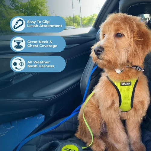 Miniatura 89 de Best Pet Supplies Voyager Step-in Air Arnés – Malla para todo clima, reflectante, arnés antitirones para perros y gatos, seguro con cierre de gancho
