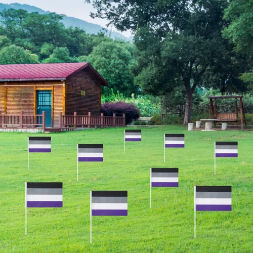 Miniatura 6 de GentleGirl Paquete de 12 banderas de arco iris del orgullo asexual, pequeñas banderas de mano gay LGBT Festival Fiesta Desfiles Decoraciones