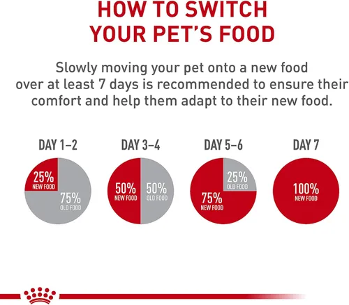 Miniatura 8 de Comida enlatada para gatos, de Royal Canin, salud felina, nutrición instintiva de adultos, rebanadas delgadas en salsa, Paquete de 6
