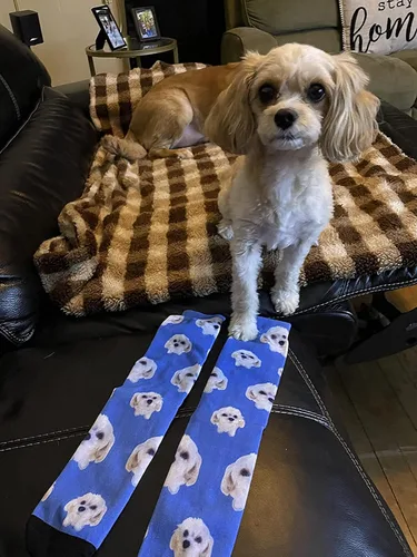 Miniatura 3 de Calcetines personalizados con cara calcetines personalizados con texto personalizado divertidos calcetines para hombres y mujeres