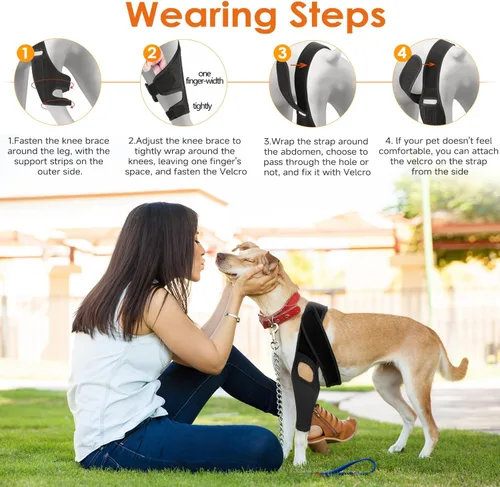 Miniatura 6 de Jorme Rodillera para perro para pierna trasera desgarrada del ligamento cruzado anterior, de neopreno transpirable con velcro ajustable y banda