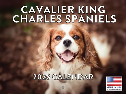 Miniatura 61 de Calendario de pared mensual 2025 Great Dane de 12 meses, fabricado en Estados Unidos