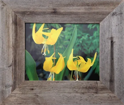 Miniatura 5 de MyBarnWoodFrames Homestead - Marco de fotos de madera de granero recuperada de 4 x 6 pulgadas (ancho del marco de 1.5 pulgadas)