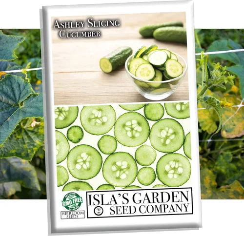 Ashley - Semillas de pepino para siembra, más de 50 semillas de reliquia por paquete, semillas de jardín de Isla (semillas de jardín de Isla),
