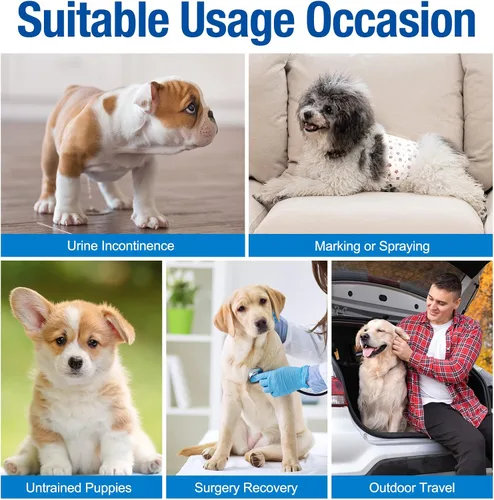 Miniatura 5 de Pañales desechables para perros machos Pet Soft - Envolturas masculinas desechables con indicador de humedad, pañales para perros súper absorbentes