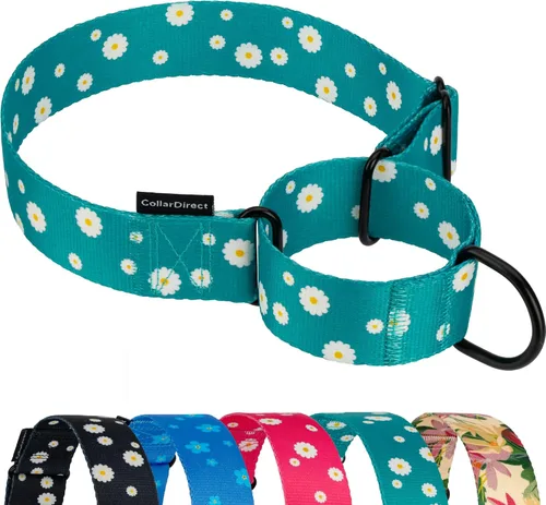 CollarDirect Martingale - Collar de nailon resistente para perros pequeños, medianos y grandes [nailon, estampado, aguamarina, L, 15-20 pulgadas)