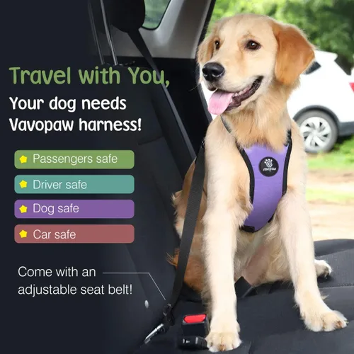 Miniatura 2 de VavoPaw cinturón de seguridad para perro, arnés de coche para mascotas con hebilla ajustable, cinturón de seguridad de nailon para vehículos, Púrpura