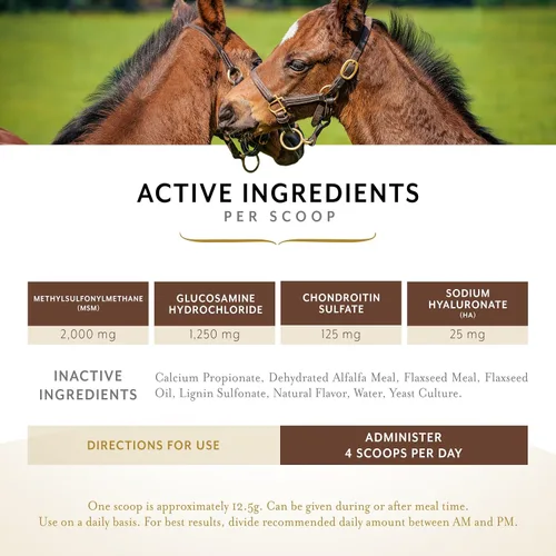 Miniatura 3 de Equithrive Suplemento clásico para articulaciones con glucosamina, condroitina, ácido hialurónico y MSM para caballos y caballos mayores, 10 libras