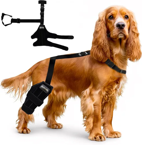 Rodillera para perro – Soporte ajustable para pierna trasera para desgarro de ACL, dolor en las articulaciones, artritis y recuperación de lesiones.
