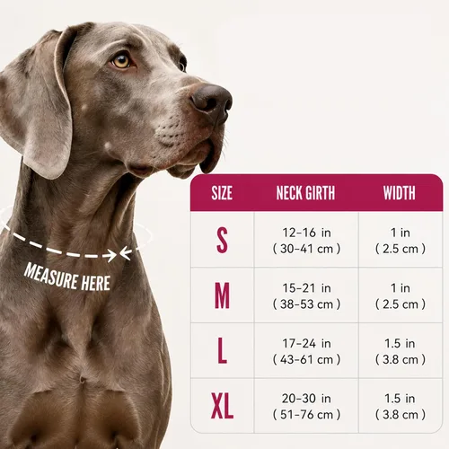 Miniatura 9 de Collar táctico personalizado para perros grandes, collar militar resistente con nombre, hecho de nailon grueso y hebilla de metal fuerte para una