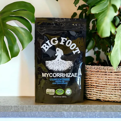 Miniatura 10 de Big Foot Mycorrhizae para Plantas, Plantas en Maceta y Jardines - Concentrado que se Disuelve Completamente en Agua, Fertilizante Orgánico Todo