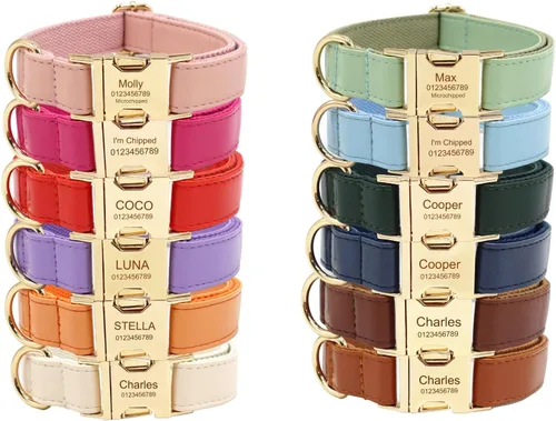 Miniatura 9 de Collares de perro personalizados con hebilla metálica - Collares de mascota con nombre y número de teléfono personalizados para razas pequeñas