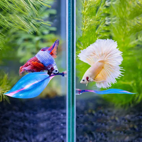 Miniatura 6 de WILLBOND 2 piezas de silicona azul Betta Fish Bed Leaf Hamaca Betta Fish Tank Accesorios Decoraciones para adornos de acuario, práctico lugar