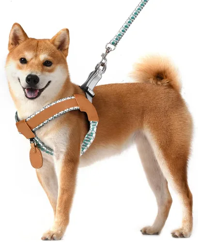 Miniatura 8 de Arnés de poliéster y cuero genuino para perro sin tirones con tiras reflectantes, chaleco ligero con soporte AirTag para perros de tamaño mediano