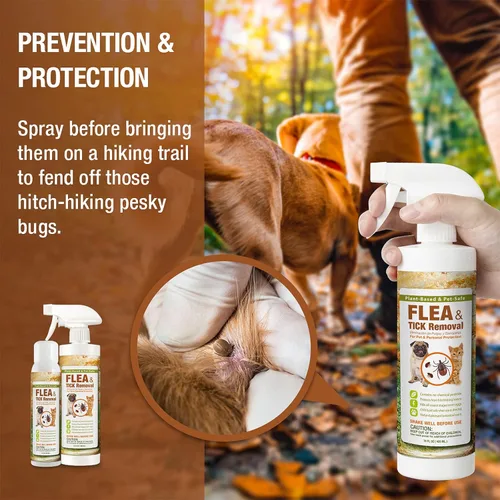 Miniatura 6 de EcoVenger Spray de eliminación de pulgas y garrapatas de 16 onzas para perros y gatos, protege de pulgas, ácaros, garrapatas y mosquitos, elimina +