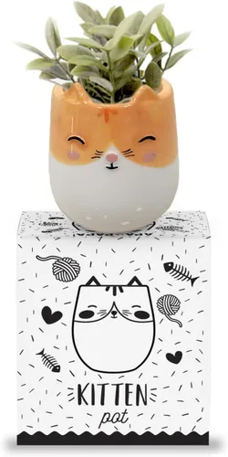 Miniatura 4 de maceta de cerámica con forma de gatito para interiores y exteriores, 3 x 3 x 4 pulgadas, diseño lindo pintado a mano en Argentina, con conveniente