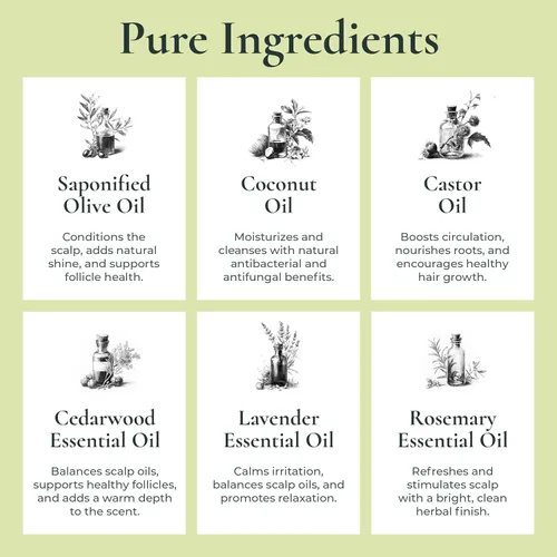 Miniatura 4 de J·R·LIGGETT'S Barra de champú – Fórmula herbal, champú en barra totalmente natural para el cabello con aceite de coco y aceite de ricino, sin