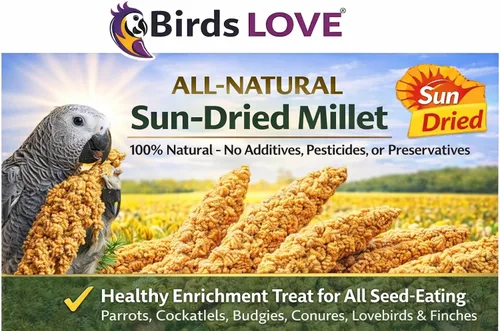 Miniatura 7 de Birds LOVE Mijo en aerosol saludable de 1 libra para pájaros, cultivado en Estados Unidos, natural secado al sol, racimos gruesos ricos en semillas