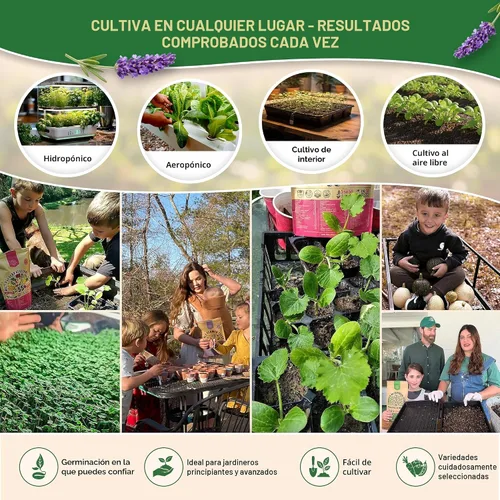 Miniatura 5 de Organo Republic Paquete variado de 12 semillas de hierbas culinarias - 7,355+ semillas criollas, sin transgénicos, para jardinería en interiores