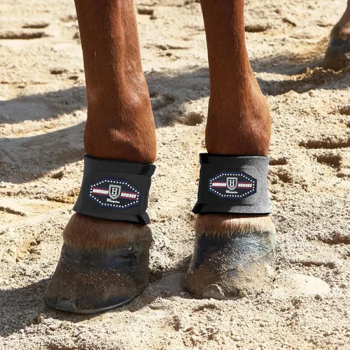 Miniatura 5 de Harrison Howard Envolturas pastern duraderas para caballos absorbentes y transpirables de protección contra impactos, se venden en pares, color negro