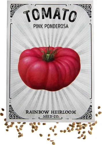 Semillas de tomate para plantar | Variedad Ponderosa rosa (paquete de 150 mg - aproximadamente 40 semillas) | Semillas sin OMG y reliquia | Paquete
