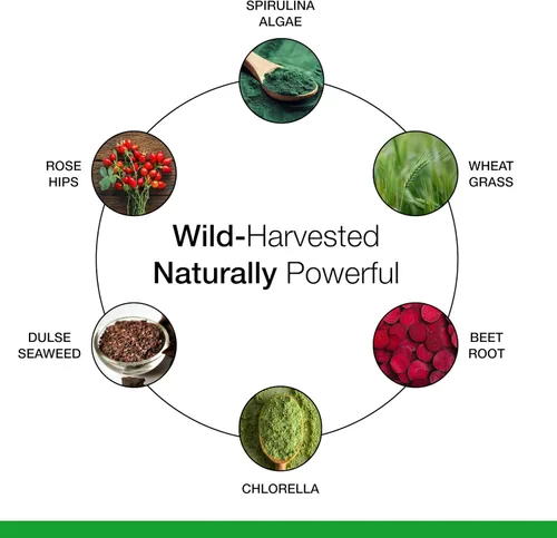 Miniatura 5 de Dr. Schulze's SuperFood Plus Concentrado de vitaminas y minerales a base de hierbas Nutrición diaria Sin gluten y sin OMG Vegano 14 onzas