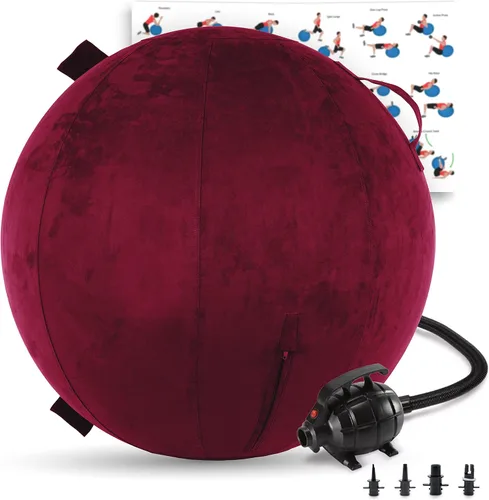 Miniatura 28 de Husband Pillow Exercise Ball, Cover with Pump for Yoga, Pilates, Fitness Balance Stability, Office Ball Chair Seat. Soft & Slip Resistant, Pro Guide