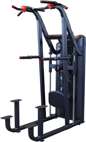 Body-Solid S2ACD-2 Pro Clubline Series II - Máquina asistida de barbilla y inmersión con 235 libras. Pila de peso para gimnasio doméstico y comercial